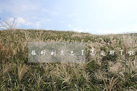银行利息忘了还逾期了能补交吗