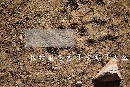 银行利息忘了逾期了怎么办 银行利息忘了逾期了怎么办
