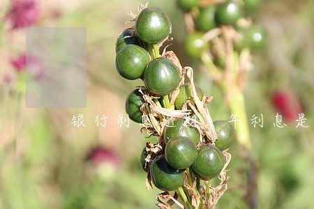 银行利息逾期2年利息是多少钱 银行利息逾期2年利息是多少钱