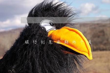 银行利息逾期两个月 银行利息逾期两个月