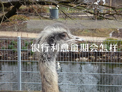 银行利息逾期会怎样 银行利息逾期会怎样