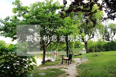 银行利息逾期后怎么计算复利 银行利息逾期后怎么计算复利