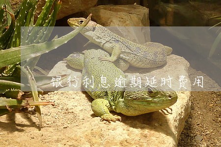 银行利息逾期延时费用 银行利息逾期延时费用