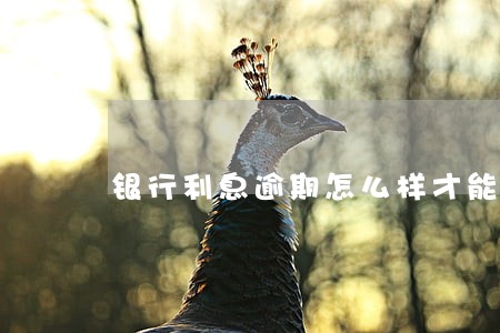 银行利息逾期怎么样才能贷款 银行利息逾期怎么样才能贷款