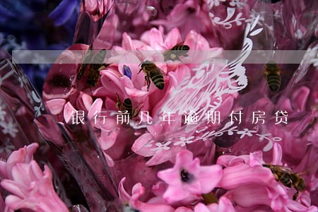 银行前几年逾期付房贷