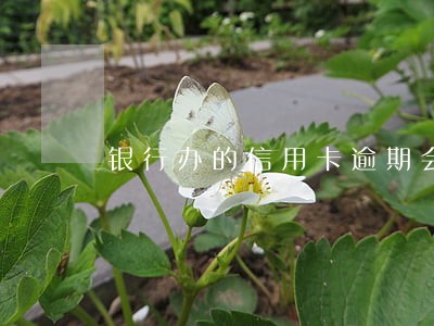 银行办的信用卡逾期会怎么样 银行办的信用卡逾期会怎么样