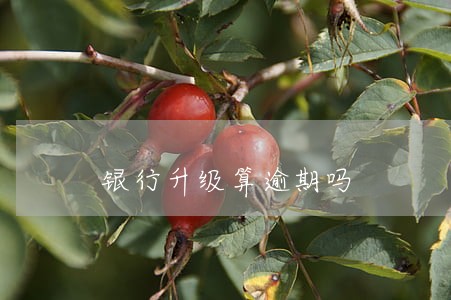 银行升级算逾期吗 银行升级算逾期吗