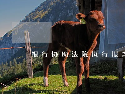 银行协助法院执行报告
