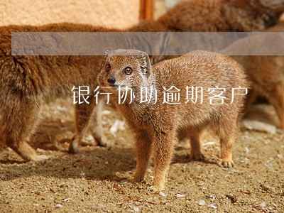 银行协助逾期客户 银行协助逾期客户