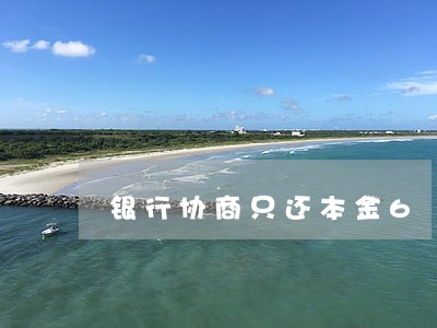 银行协商只还本金6 银行协商只还本金6