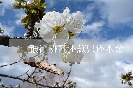 银行协商还款只还本金 银行协商还款只还本金