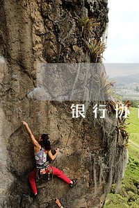 银行协商逾期申请书 银行协商逾期申请书