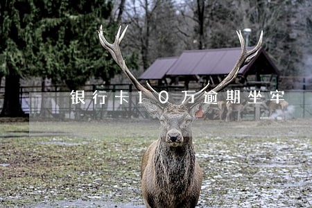 银行卡10万逾期坐牢 银行卡10万逾期坐牢