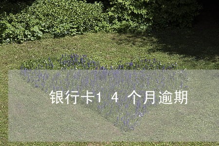 银行卡14个月逾期