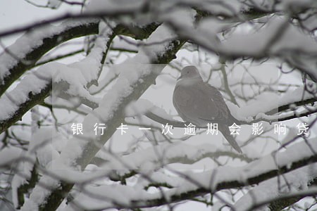 银行卡一次逾期会影响贷款吗 银行卡一次逾期会影响贷款吗