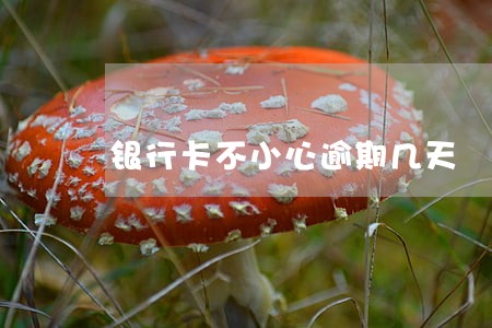 银行卡不小心逾期几天 银行卡不小心逾期几天