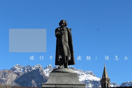 银行卡严重逾期1张怎么办