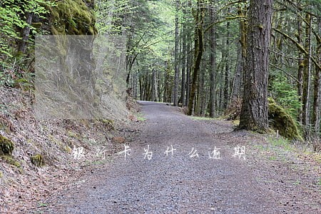 银行卡为什么逾期