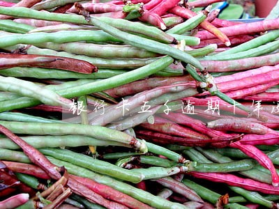 银行卡五千逾期十年没有还怎么办 银行卡五千逾期十年没有还怎么办