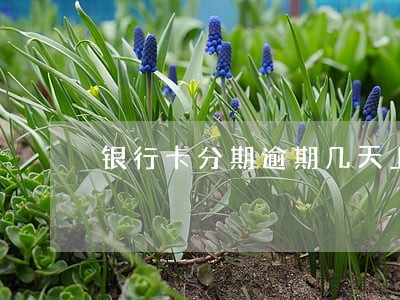 银行卡分期逾期几天上征信 银行卡分期逾期几天上征信