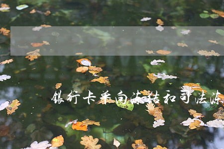银行卡单向冻结和司法冻结 银行卡单向冻结和司法冻结