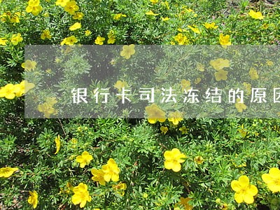银行卡司法冻结的原因有几种 银行卡司法冻结的原因有几种