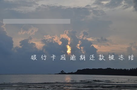 银行卡因逾期还款被冻结 银行卡因逾期还款被冻结