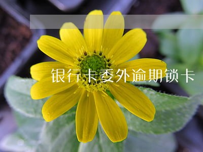银行卡委外逾期锁卡 银行卡委外逾期锁卡