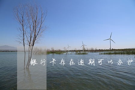 银行卡存在逾期可以办护照吗 银行卡存在逾期可以办护照吗