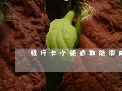 银行卡小额逾期能消除吗 银行卡小额逾期能消除吗