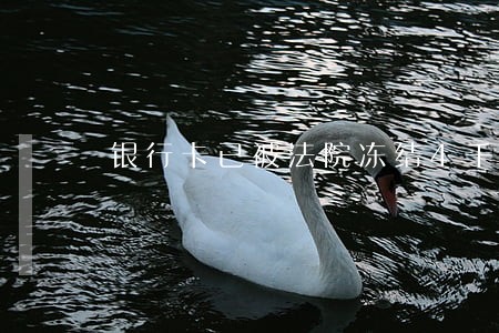 银行卡已被法院冻结4千多的额度 银行卡已被法院冻结4千多的额度