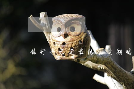 银行卡已还最低会逾期吗 银行卡已还最低会逾期吗