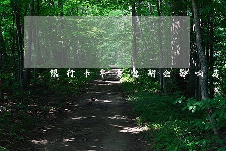 银行卡年费逾期会影响房贷吗 银行卡年费逾期会影响房贷吗