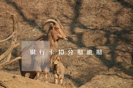 银行卡扣分期逾期 银行卡扣分期逾期