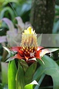 银行卡扣款逾期什么时候才会扣款 银行卡扣款逾期什么时候才会扣款