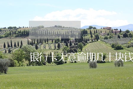 银行卡无意逾期几十块钱一年 银行卡无意逾期几十块钱一年