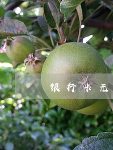 银行卡无故被司法冻结多久能解冻 银行卡无故被司法冻结多久能解冻