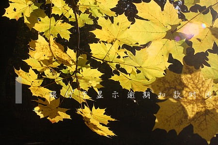 银行卡显示逾期扣款时间 银行卡显示逾期扣款时间