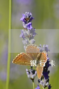 银行卡曾经逾期能不能按揭车 银行卡曾经逾期能不能按揭车