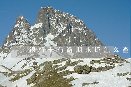 银行卡有逾期未还怎么查 银行卡有逾期未还怎么查