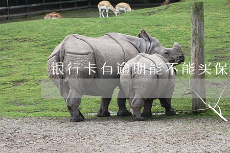 银行卡有逾期能不能买保险 银行卡有逾期能不能买保险