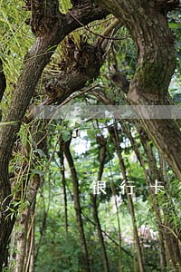 银行卡有逾期能买房吗 银行卡有逾期能买房吗
