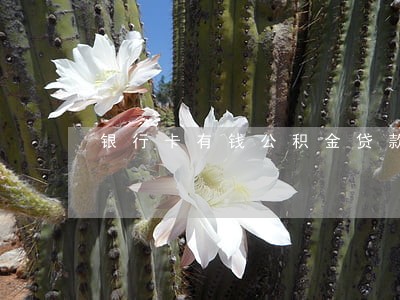 银行卡有钱公积金贷款逾期 银行卡有钱公积金贷款逾期