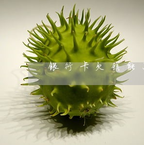 银行卡欠钱能只还本金么 银行卡欠钱能只还本金么