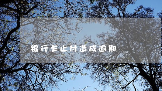 银行卡止付造成逾期 银行卡止付造成逾期