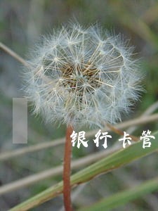银行卡管理费算逾期吗 银行卡管理费算逾期吗