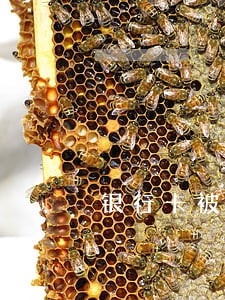 银行卡被冻结用支票 银行卡被冻结用支票