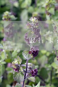 银行卡被刑侦大队冻结导致逾期