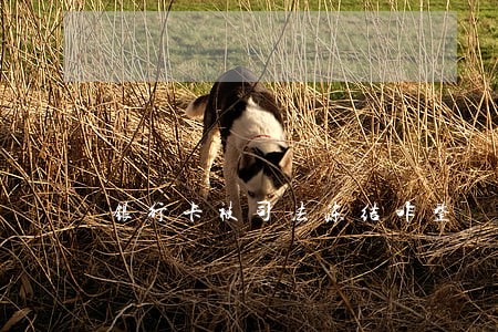 银行卡被司法冻结咋整