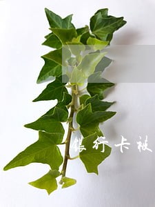 银行卡被司法冻结还能取出来吗